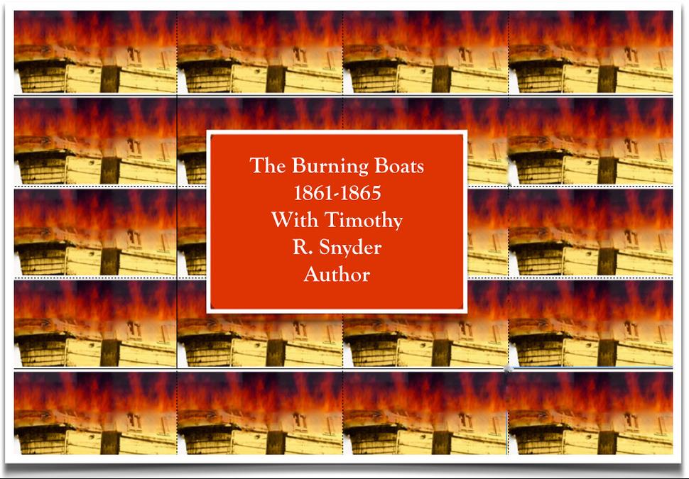 1_Burning_Boats_Timothy_Snyder - a woman in a black shirt is standing in front of a projection proje
